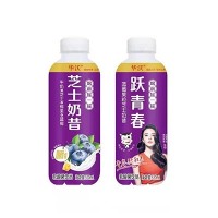 華沃藍(lán)莓果粒芝士奶昔乳酸菌飲品520ml