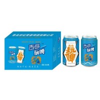 青春玩啤330mlX24罐