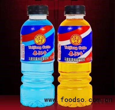 泰江牛馬黛茶能量飲料功能飲品夏季冷飲批發(fā)代理520ml