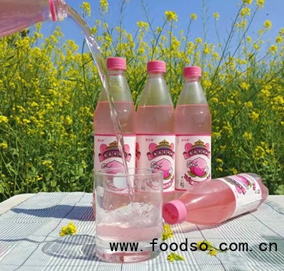 碧升泉老北京風(fēng)味蜜桃味汽水碳酸飲料500ml夏季飲品招商代理