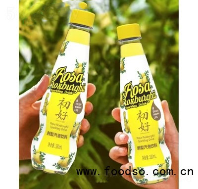 初好刺梨汽泡飲料380ml夏季冷飲商超貨源瓶裝辦公室下午茶