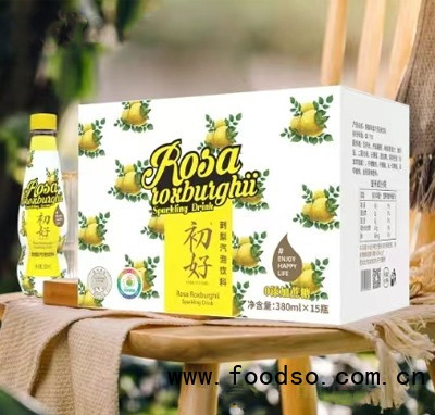 初好刺梨汽泡飲料380ml×15夏季冷飲商超貨源瓶裝