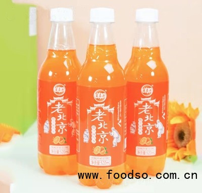 藍嘉源老汽水瓶裝汽水老北