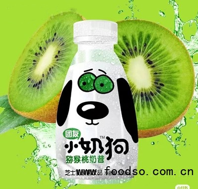 團(tuán)友小奶狗獼猴桃芝士乳酸菌飲品380ml夏季飲品招商