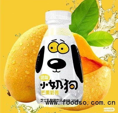 團(tuán)友小奶狗芒果奶昔芝士乳酸菌飲品380ml夏季飲品招商