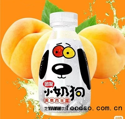 團(tuán)友小奶狗黃桃西米露芝士乳酸菌飲品380ml夏季飲品招商