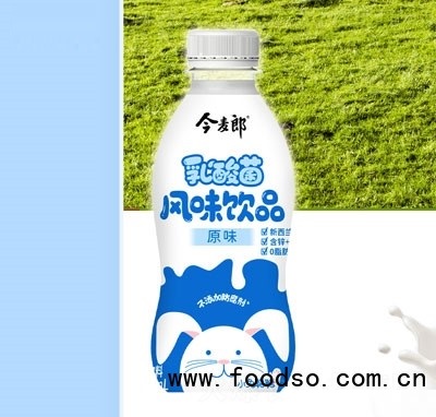 今麥郎乳酸菌風味飲料