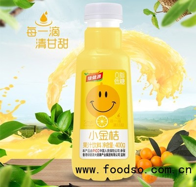 綠健源果汁飲料小金桔果味