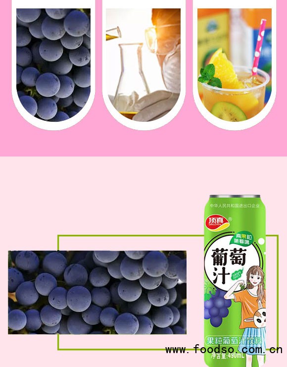 鄭州頂真食品有限公司-果粒果汁1_03