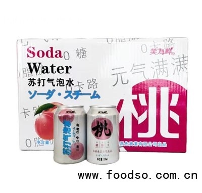 笑為鮮白桃味蘇打氣泡水箱
