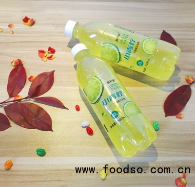 碧升泉小青檸氣泡果汁飲料500ml網紅爆款飲料