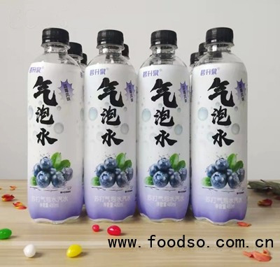 碧升泉葡萄味蘇打氣泡水48