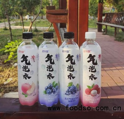 碧升泉白桃味+葡萄味蘇打