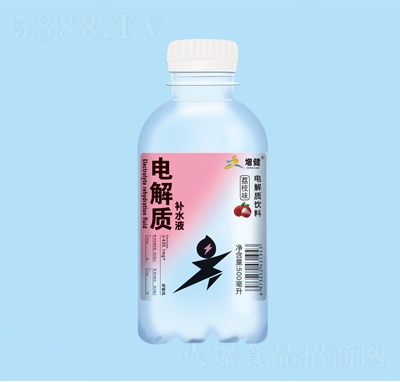 增健電解質(zhì)補(bǔ)水液飲料荔枝味500毫升