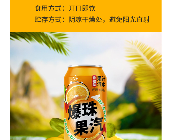 廣東大啟食品有限公司--產(chǎn)品畫(huà)冊(cè)香橙_04