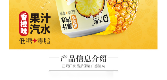 廣東大啟食品有限公司--產(chǎn)品畫冊鳳梨_03