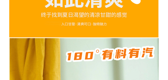 廣東大啟食品有限公司--產(chǎn)品畫冊鳳梨_06