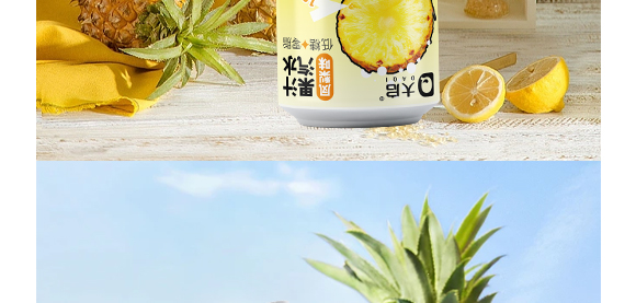 廣東大啟食品有限公司--產(chǎn)品畫冊鳳梨_08