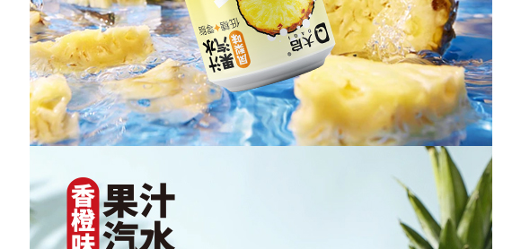 廣東大啟食品有限公司--產(chǎn)品畫冊鳳梨_10