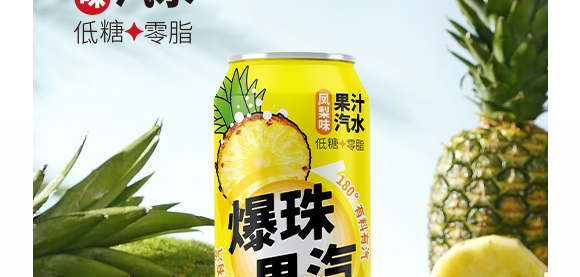 廣東大啟食品有限公司--產(chǎn)品畫冊鳳梨_11