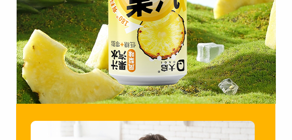 廣東大啟食品有限公司--產(chǎn)品畫冊鳳梨_12