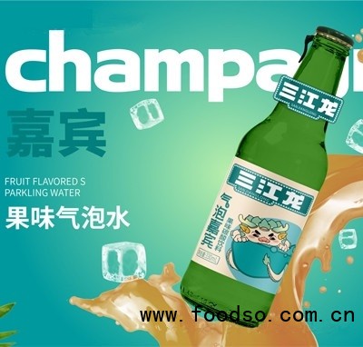 三江龍氣泡嘉賓果味氣泡水碳酸飲料500ml