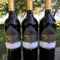 加州山之峰梅洛干紅，手工采摘的濃郁果味盛宴